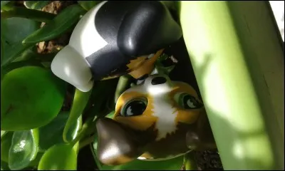 Va-t-elle faire une série ?