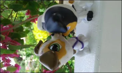 Son dessert préféré :