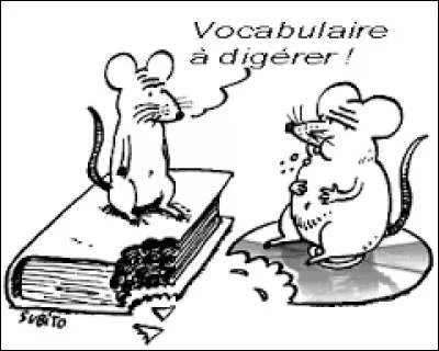 « Je lui ai délivré un renseignement de la plus haute importance. » est une phrase .