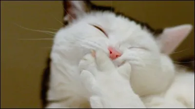 Tu veux une blague courte ?