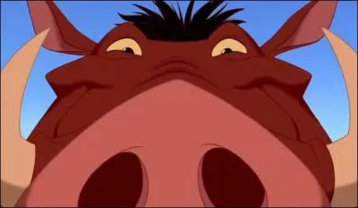 Comment se rencontrent Nala et Pumbaa ?