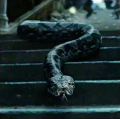 Qui est attaqué par Nagini au Département des mystères ?