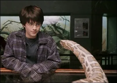 De quel pays vient le serpent du zoo avec qui parle Harry dans le premier film ?
