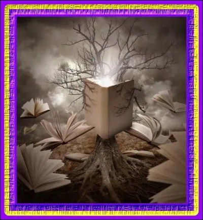 Comment a été nommée la collection célèbre des romans de Jules Verne ?