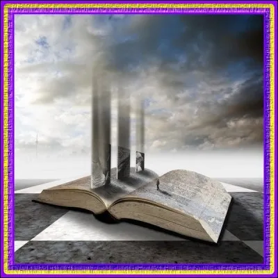 Qui a écrit "L'extraordinaire voyage du fakir qui était resté coincé dans une armoire Ikea " ?