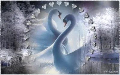 Qui chantait "C'est merveilleux l'amour, c'est fantastique..." ?