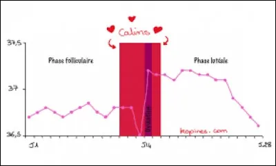 Le moment le plus élevé d'une courbe de température est appelé pique.