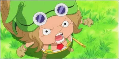 Comment s'appelle le capitaine de l'arm&eacute;e de Tontatta dans "One Piece" ?