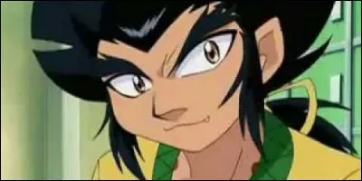 Dans "Beyblade", qui est membre des White Tigers ?