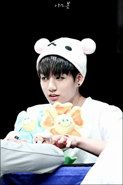 Quelles sont ses couleurs préférées ?