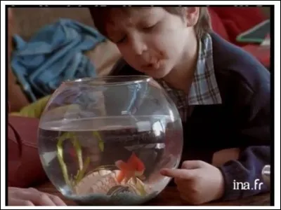 Que dit ce petit garçon à son poisson rouge dans une célèbre publicité pour un yaourt au chocolat ?