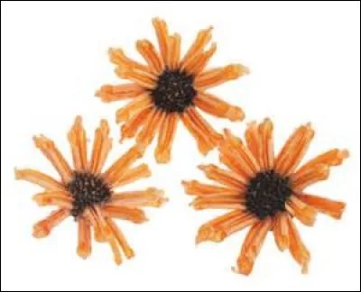 Quand la marguerite ne se trouve ni dans les champs ni parmi vos ustensiles de cuisine, où est-elle placée ?