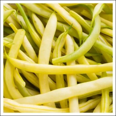 Quel est le nom de ces haricots ?