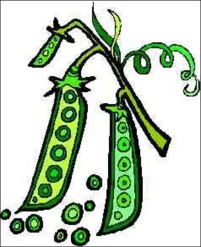 Dans l'expression "Travailler pour des haricots", de quoi "haricots" peut-il être synonyme ?