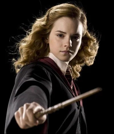 Dans quelle maison est Hermione Granger ?