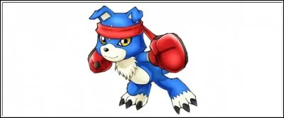 Dans quel anime Gaomon apparaît-il ?