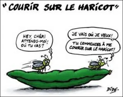 Sinon, ça a tendance à me courir sérieusement sur le haricot !