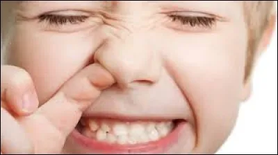 Comment dit-on "nez" en anglais ?