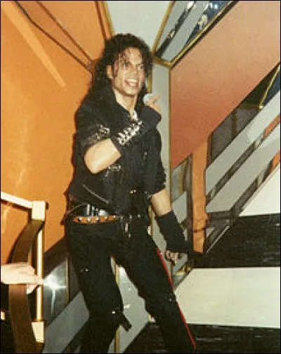 Trouve la seule personne qui n'est pas Michael Jackson.