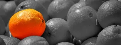 Quelle partie de l'orange est indispensable à la réalisation du vin d'orange ?
