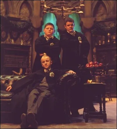 Qui sont ses deux meilleurs amis (enfin plutôt ses deux gardes du corps) au sein de sa maison à Pouldard ?