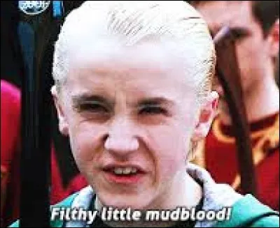 Qui traite-t-il de "Sang-de-Bourbe" lors de sa seconde année à Poudlard ?