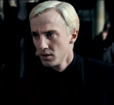 Quand les Mangemorts capturèrent Harry, Ron et Hermione, ils les amenèrent au Manoir Malfoy et que demandèrent-ils à Draco ?