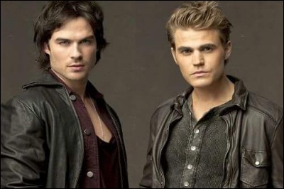 Qui sont Stefan et Damon Salvatore ?