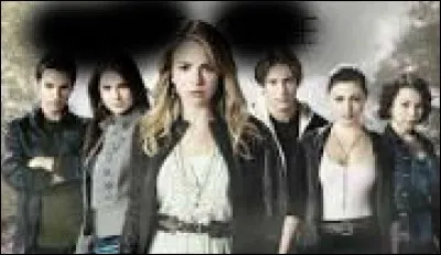 Quelle est cette série ?