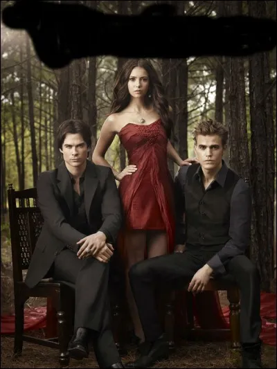 Quelle est cette série ?