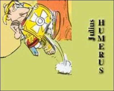 Légionnaire en patrouille, dont l'uniforme sera volé par Astérix, Julius Humérus est un personnage de l'album ...