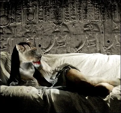 Elle peut également prendre l'aspect redoutable de la lionne. Qui est-elle ?