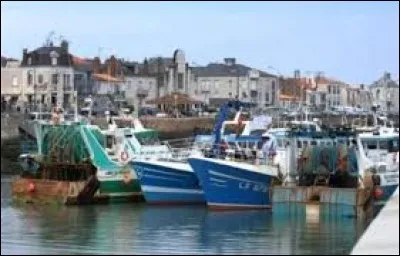 Quel poisson fit la richesse des Sables-d'Olonne au XVIIIe siècle ?