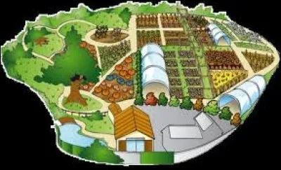 Où découvrirez-vous 1 500 espèces de plantes comme les tournesols géants, le pélargonium à odeur de Coca-Cola, la plante à goût d'huile ou le cornichon explosif ?