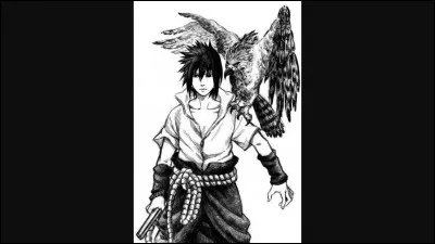 Finalement, pourquoi Sasuke veut-il devenir Hokage ?