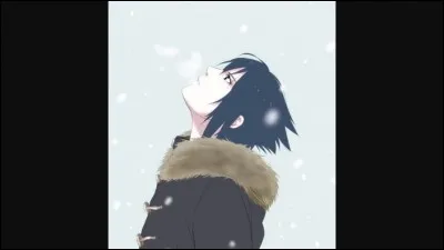 Au final, Sasuke revient-il au village de Konoha ?