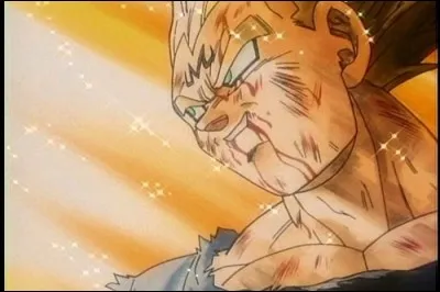 A qui pense Vegeta quand il se sacrifie contre Buu ?