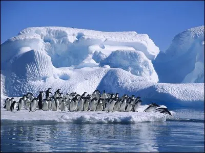 L'île du Scorpion, située dans l'Antarctique, fait partie du district de La Terre-Adélie. A quel pays est-elle donc rattachée ?