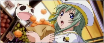 L'une des héroïnes de cet anime se nomme Alice Carroll, en hommage à l'auteur du roman ! C'est dans :