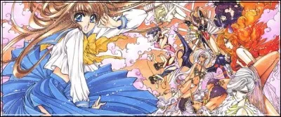 CLAMP aime beaucoup parodier le pays des merveilles ! En témoigne cette OAV où l'héroïne fait des rêves plutôt coquins avec les personnages issus du roman ! Il s'agit de :