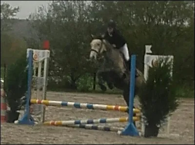 Quelle est cette discipline ?