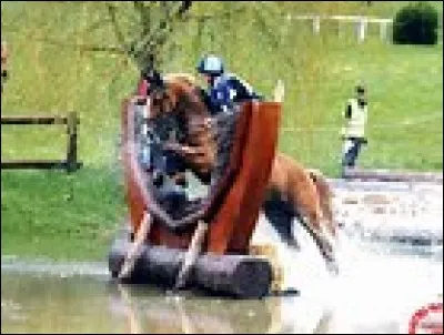 Quelle est cette discipline ?