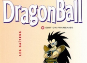 Quiz Dragon Ball : tome 17 (juste la moiti)