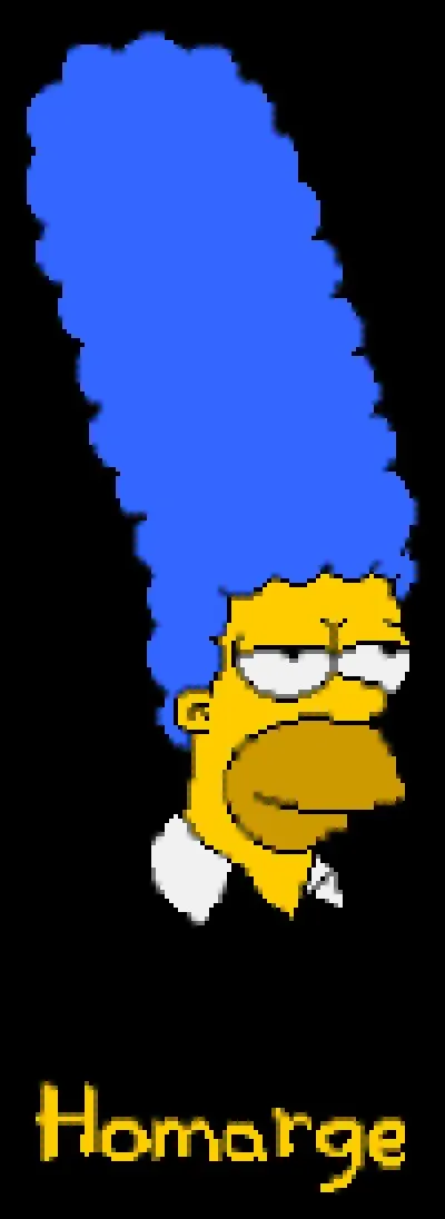 Sur la photo que voit on