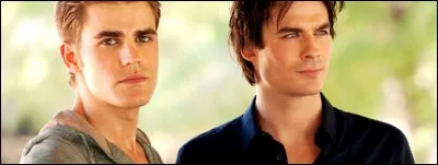 Quel est le lien entre Damon et Stefan ?