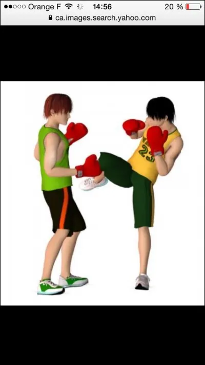 Connais-tu ce sport ?