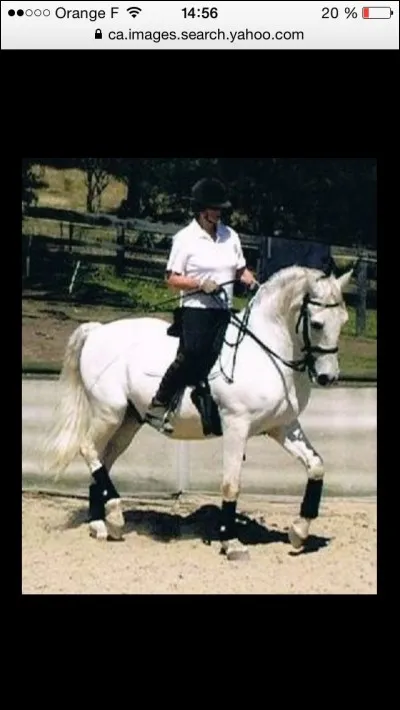 Connais-tu ce sport ?