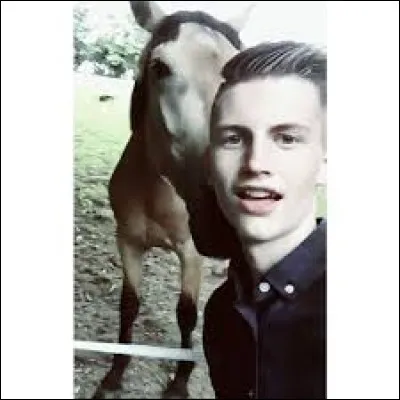 Combien a-t-il de chats ?