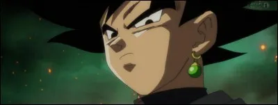 Qui est Black Goku ?