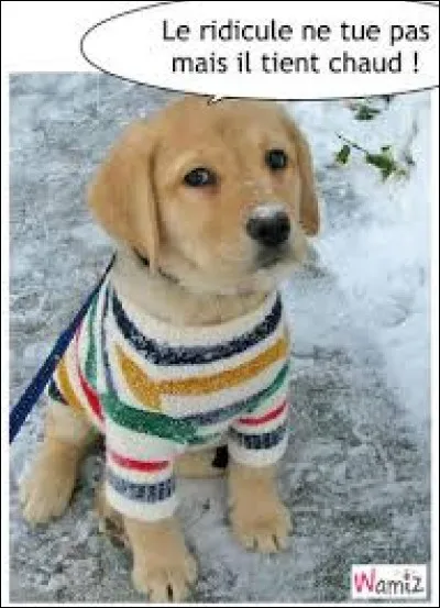 On vous offre à noël un pull ridicule, vous...